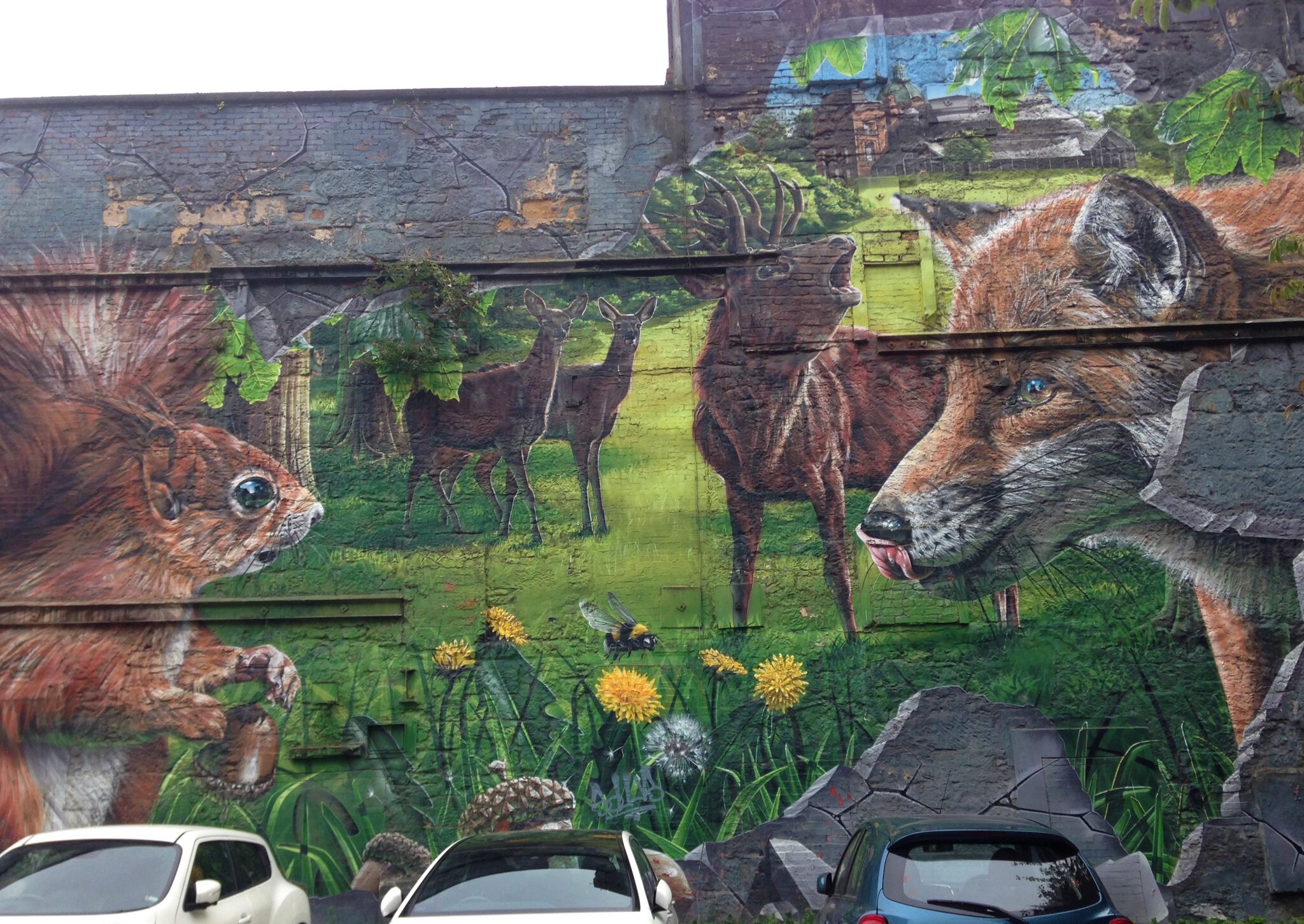 Smug&mdash;Fellow Glasgow Residents