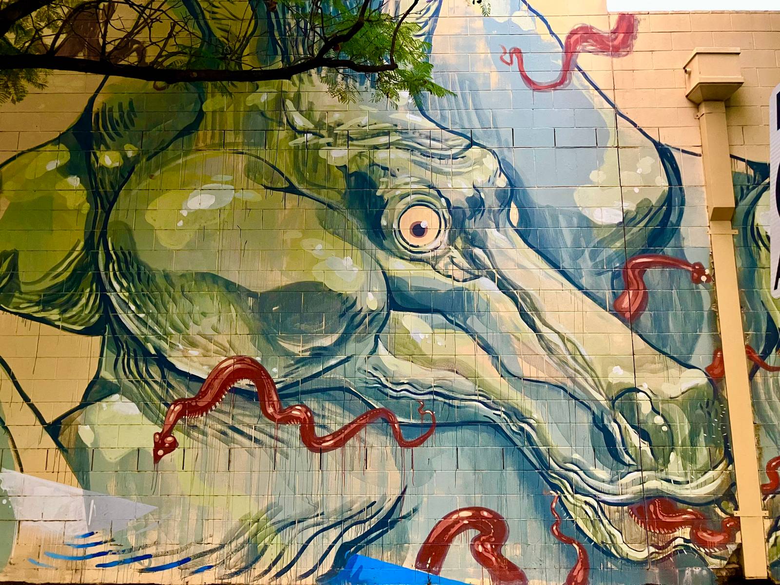 Unknown - Adelaide&mdash;undefined