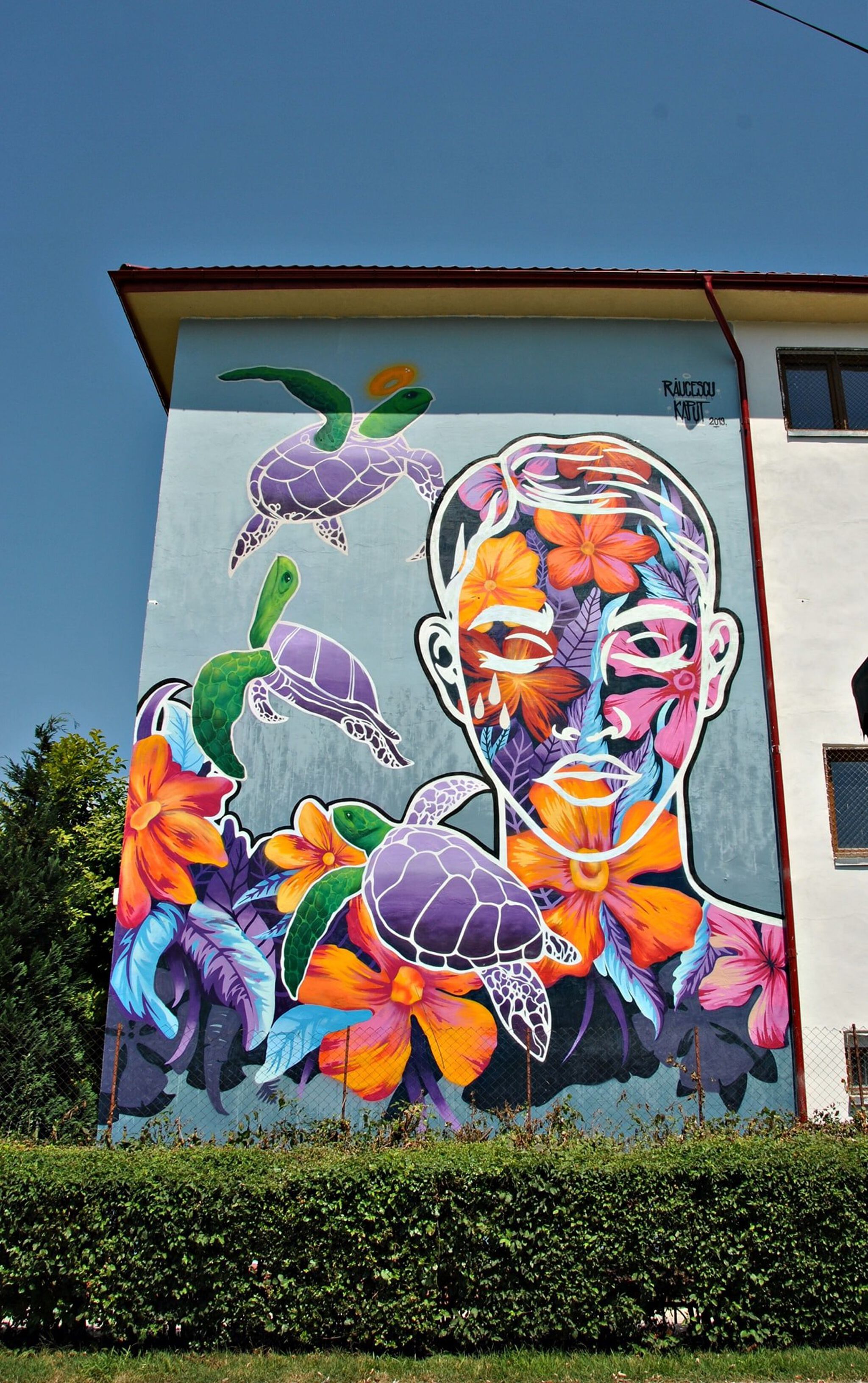 KAPS Crew, Răzvan Răucescu&mdash;Continuity for infinity