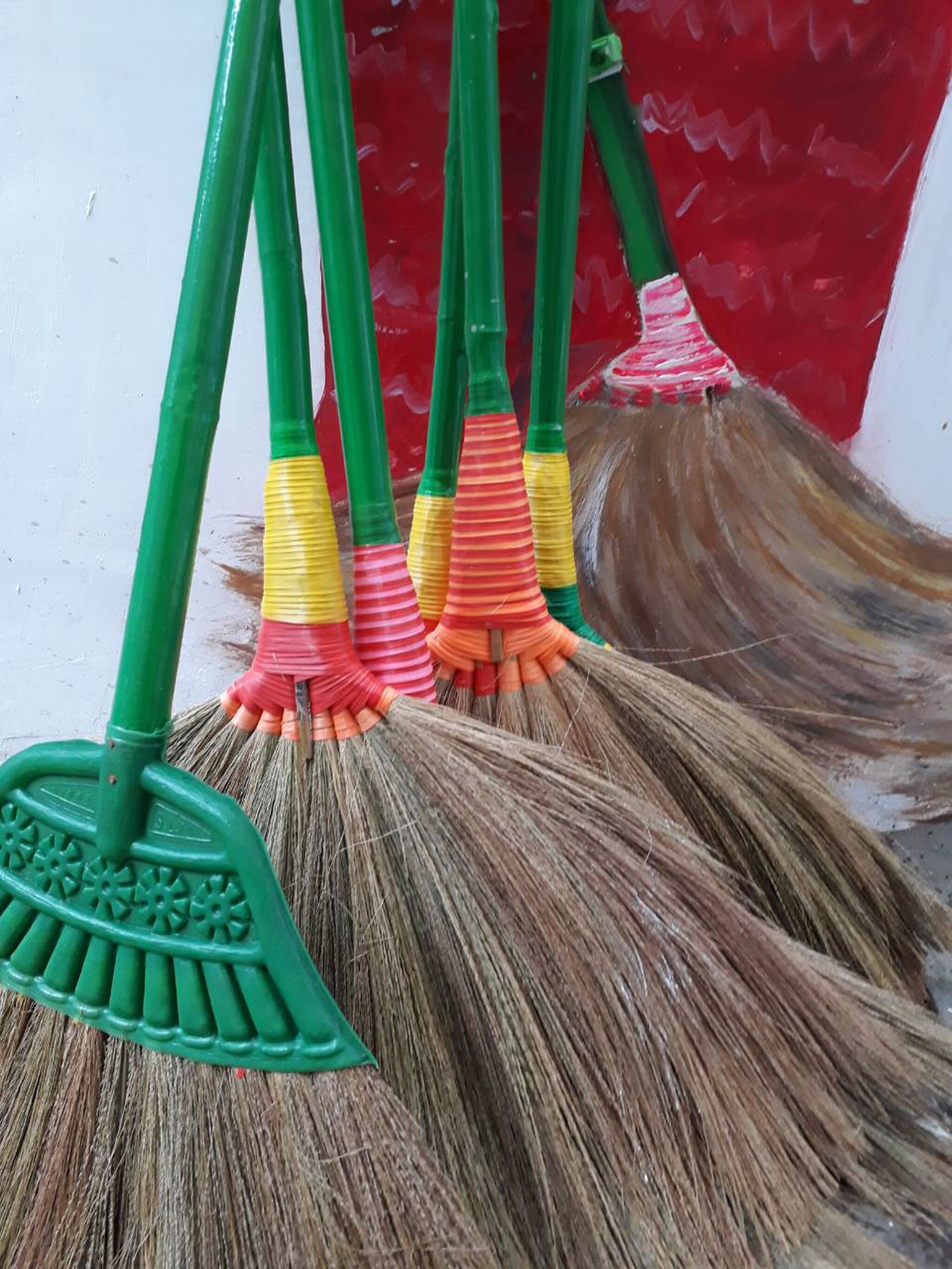 Delphine de Lorme&mdash;6 burmese with a broom
