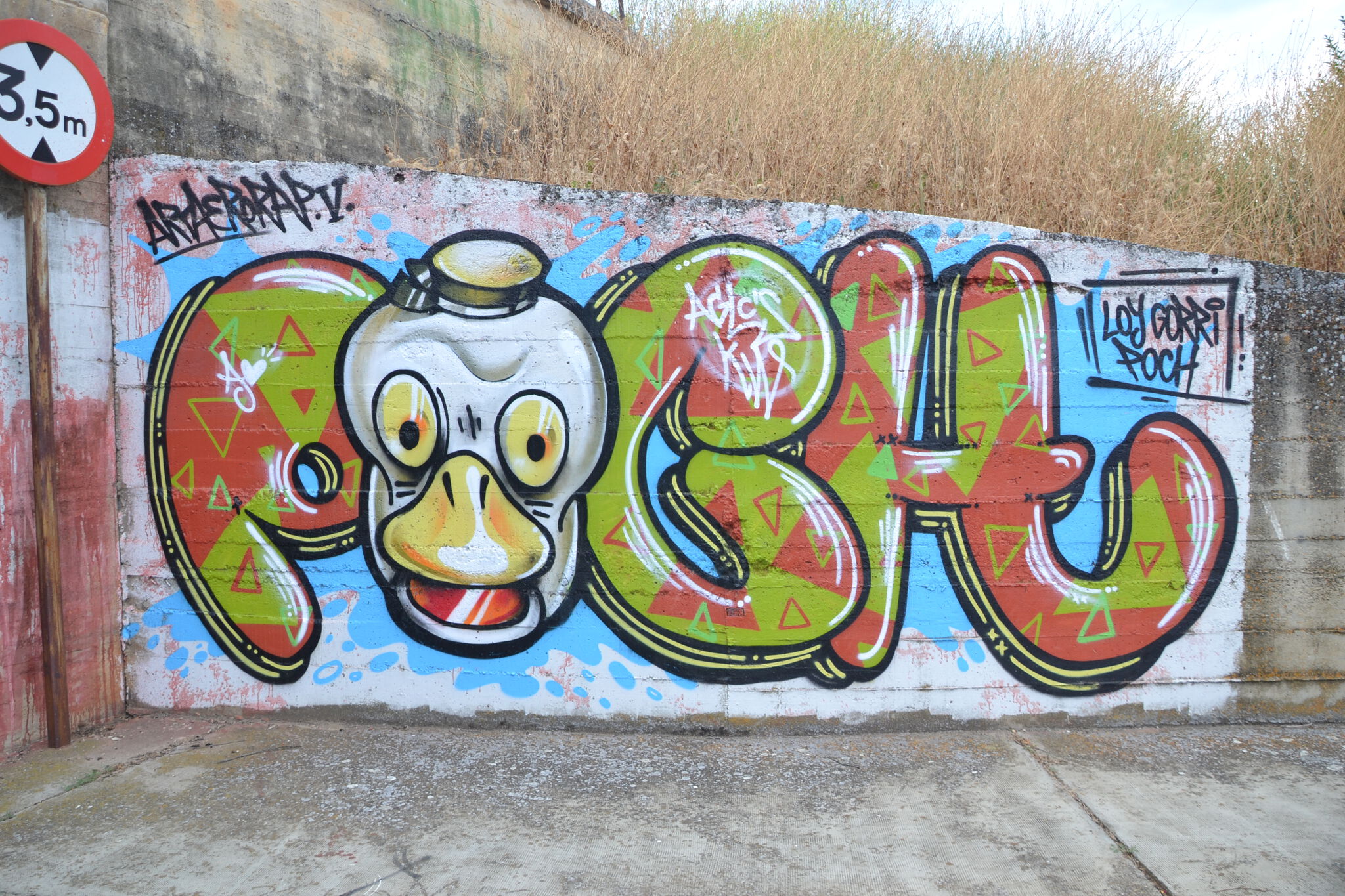 Loygorri, POCH1&mdash;Pato / Duck