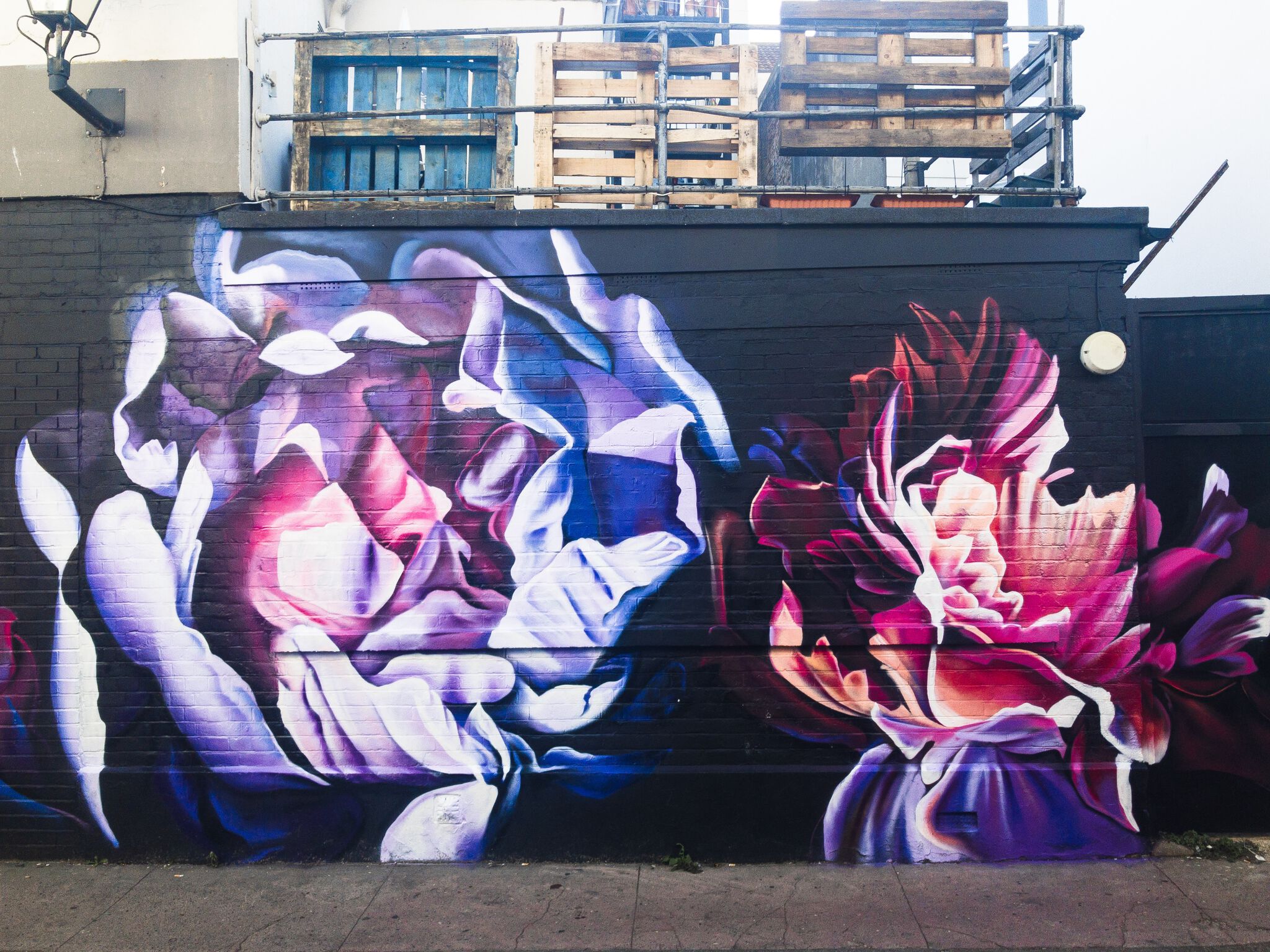 Sophie Mess&mdash;Pretty petals on the North Laine Brewhouse - made in association with North Laine Brewhouse