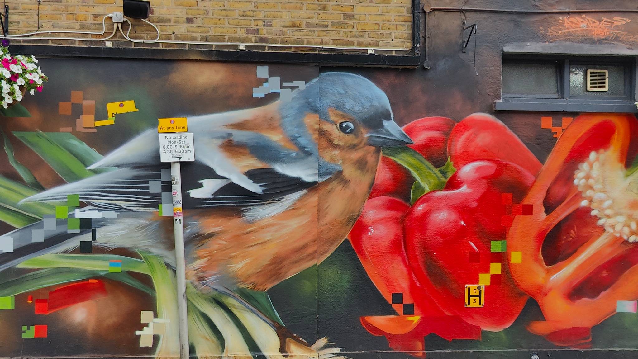 Aspire&mdash;Chaffinch
