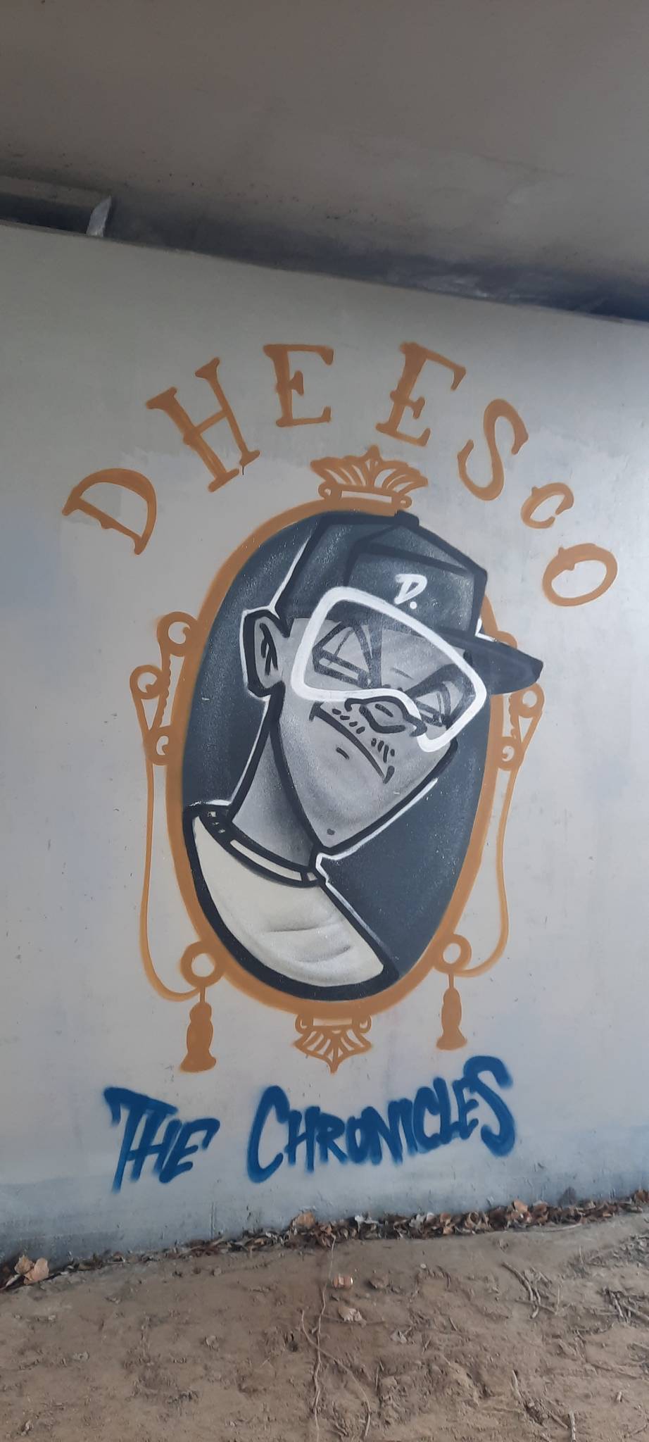 Dheezco (Dhizco)&mdash;Dheesco the chronicles