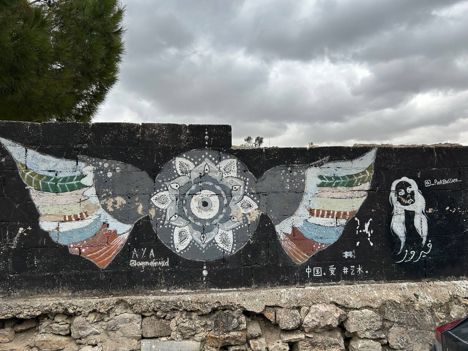 Unknown - Amman&mdash;Wings