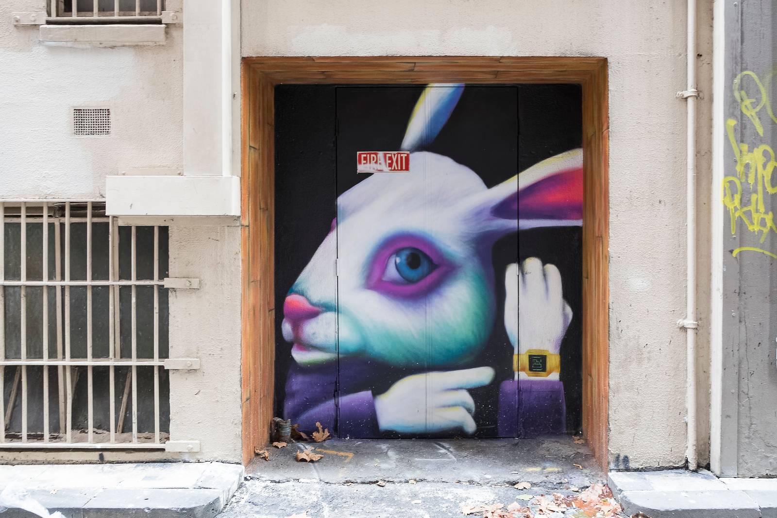 Silly Sully&mdash;White Rabbit