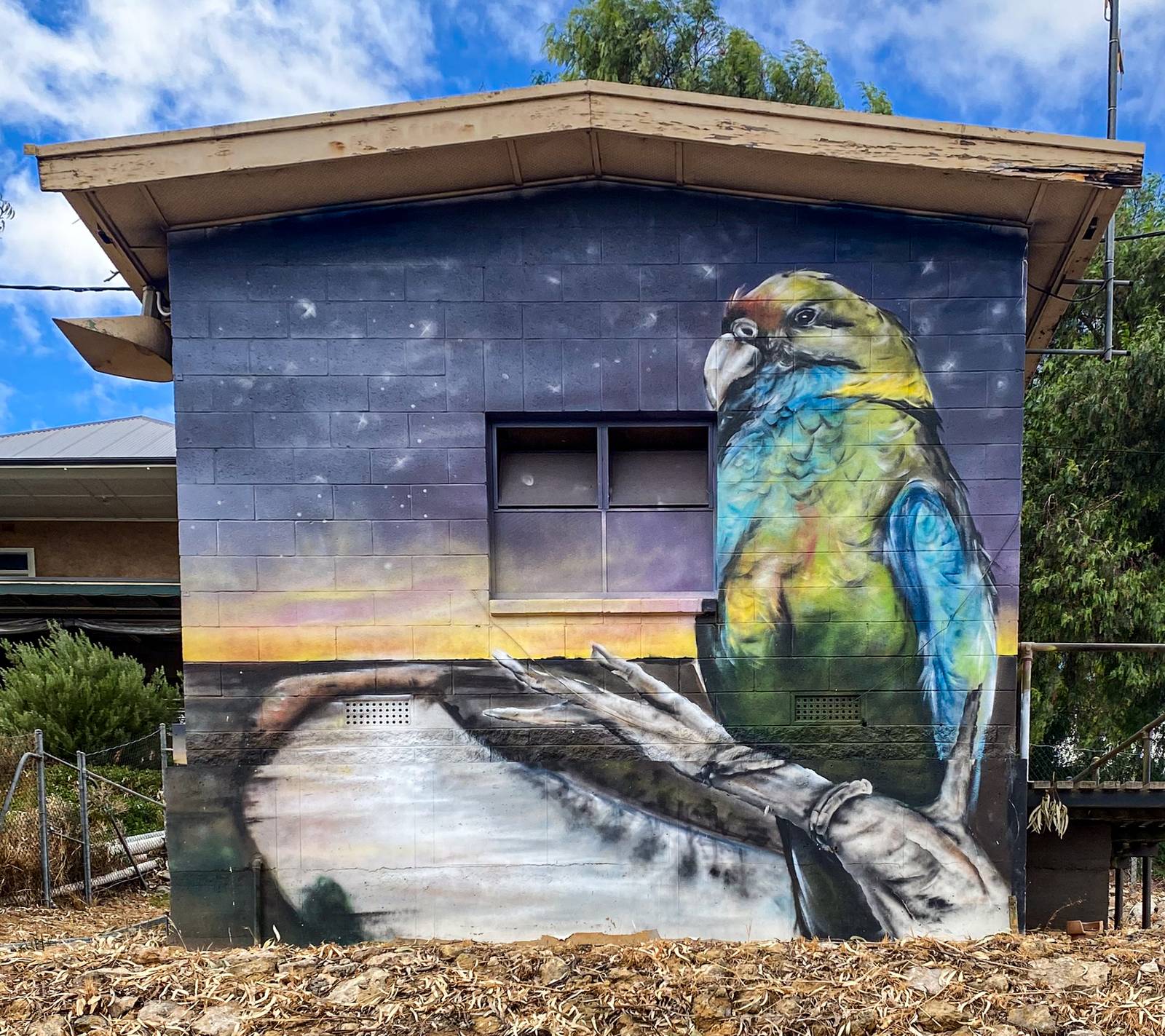 Jarrod Loxton&mdash;Swan Reach Pump House