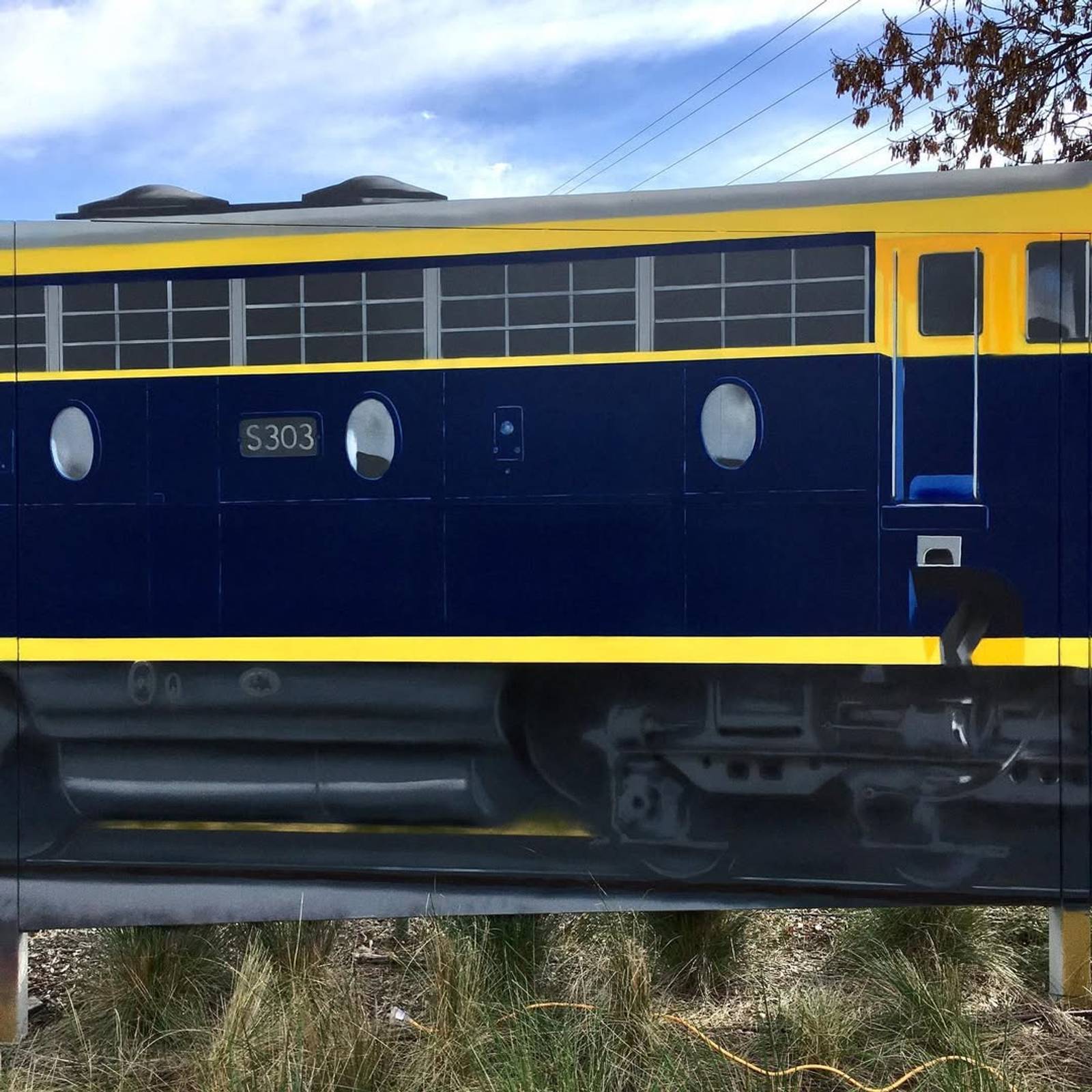Tim Bowtell&mdash;Southern Aurora Train