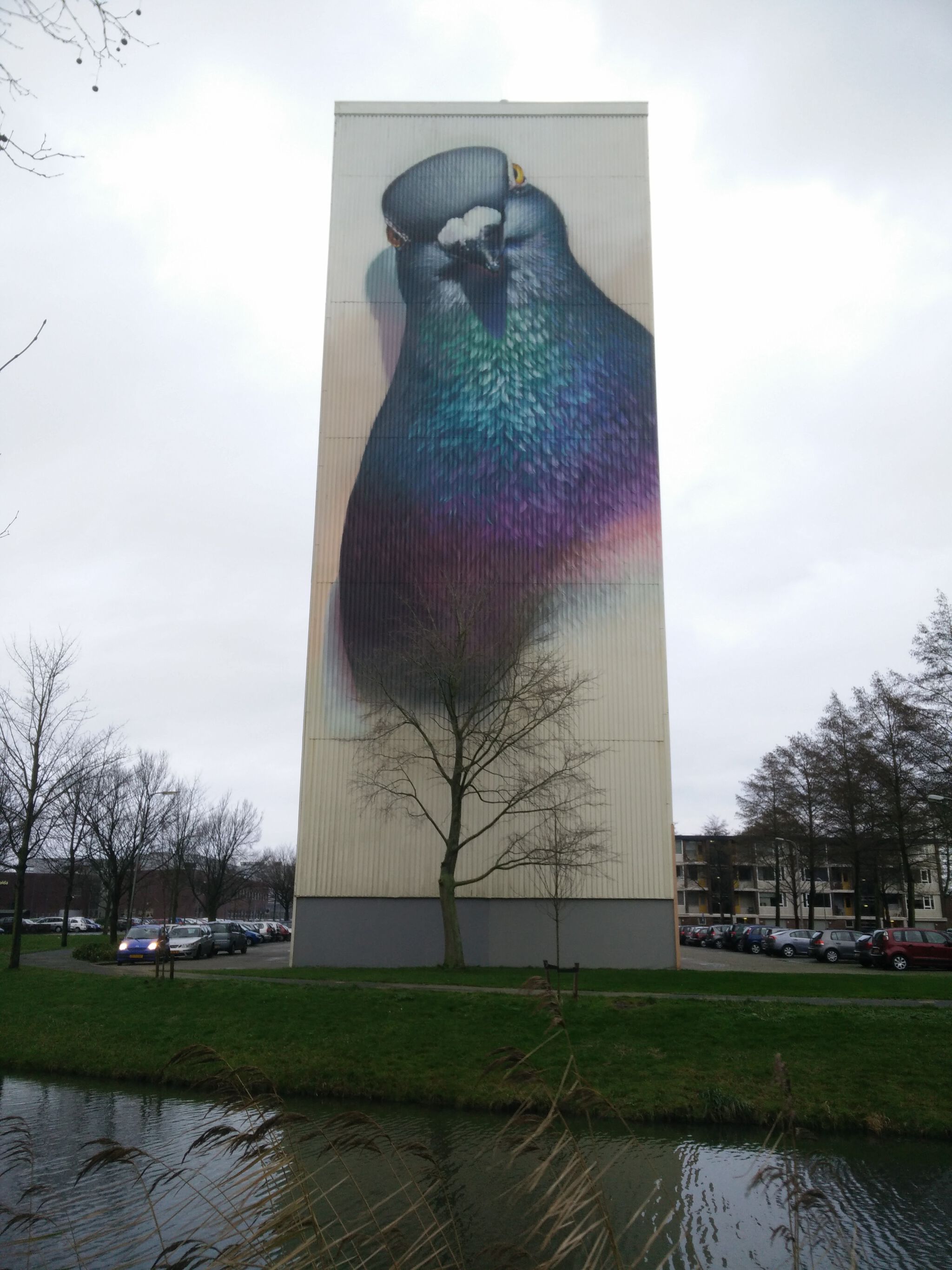 Super A&mdash;Giant Pigeon