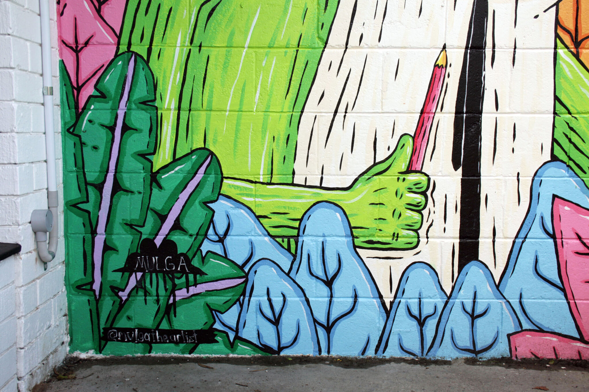 Mulga&mdash;Phil the Frog