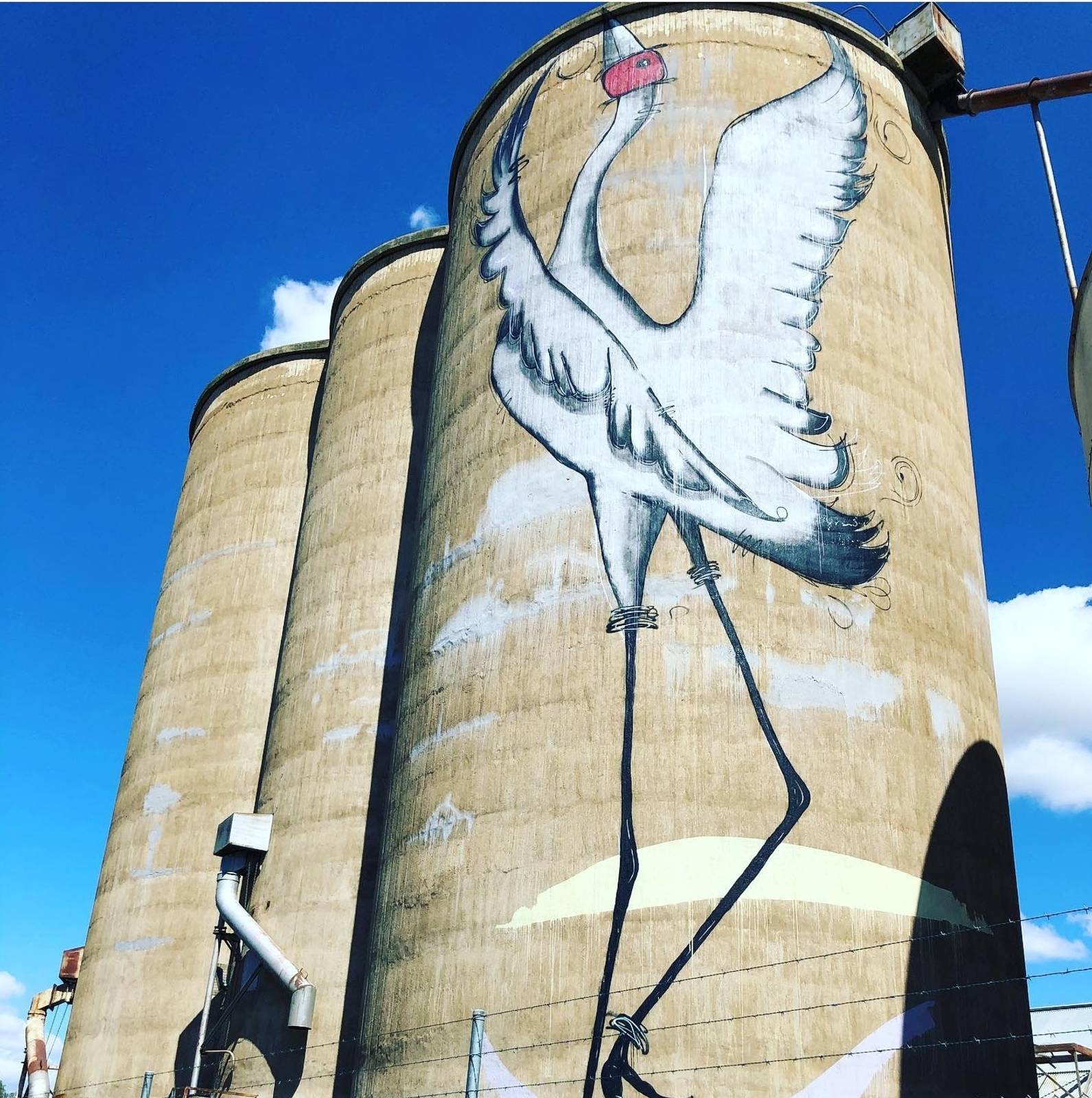 Sobrane&mdash;Tungamah Silo Art No. 2