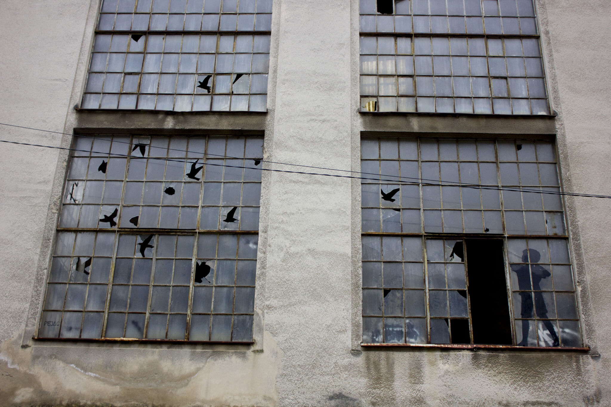 Pejac&mdash;Camouflage