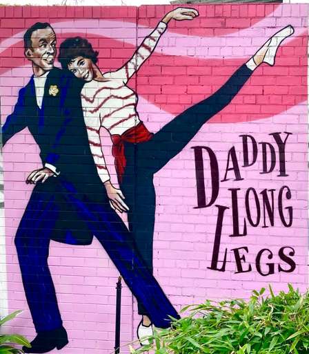 Daddy Long Legs