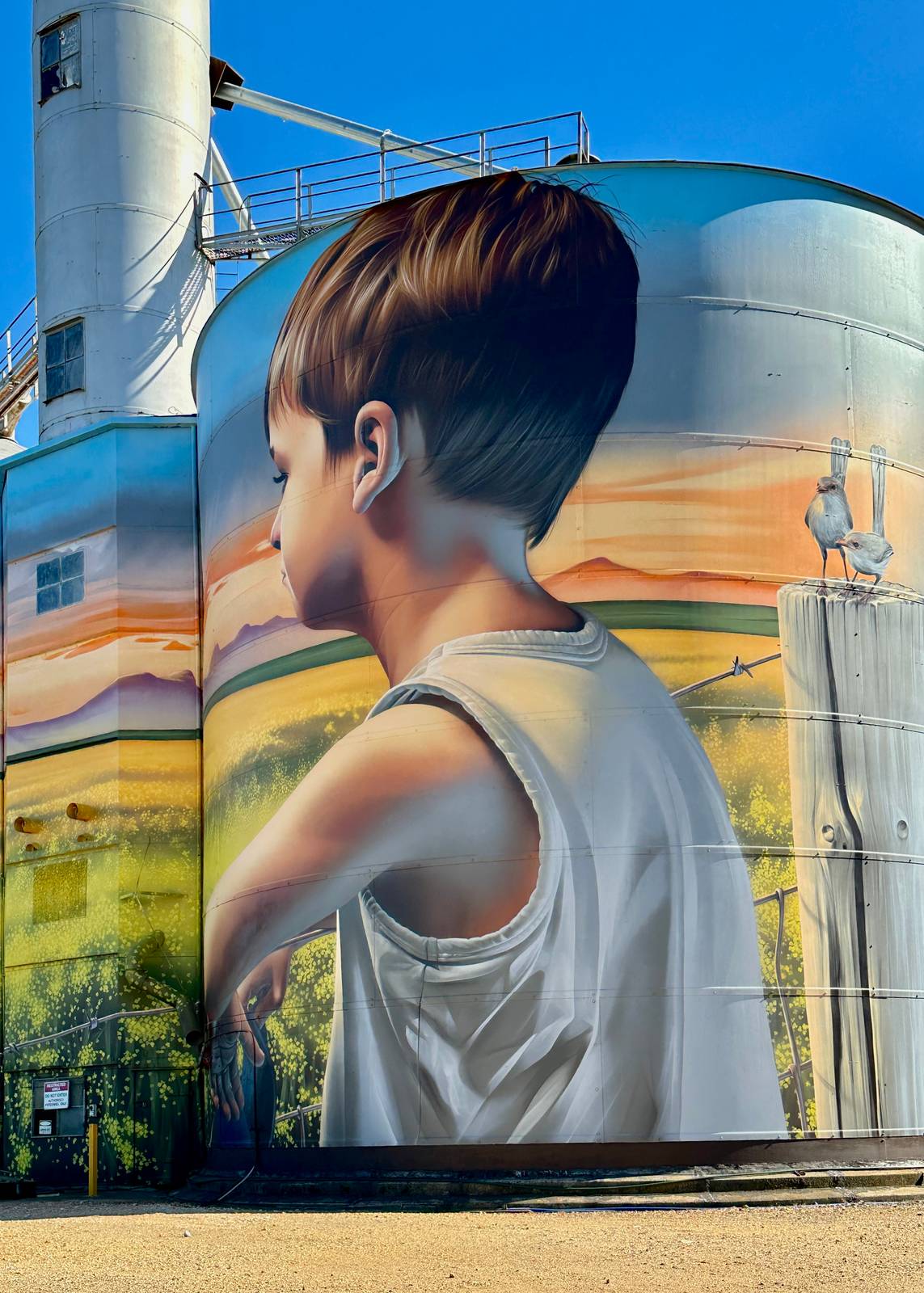 Smug&mdash;Rupanyup Silo Art