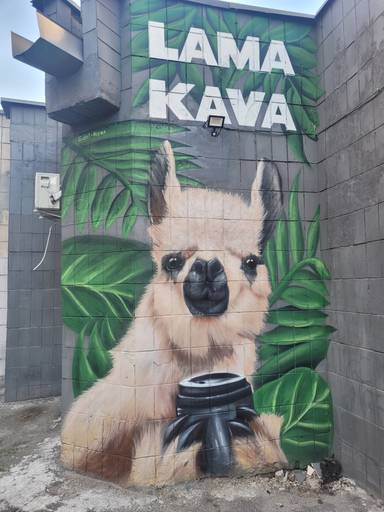 KAVA LAMA