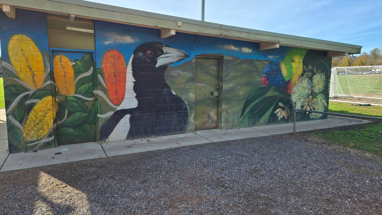 Graffik Paint&mdash;Birds of Canberra