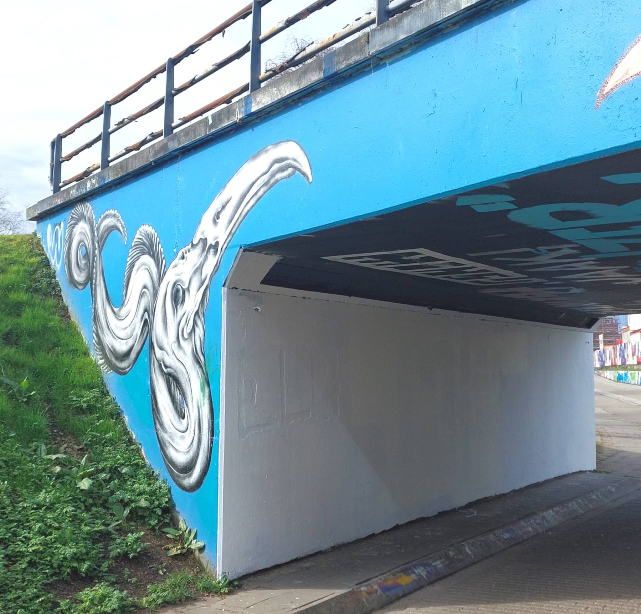 anonymous artist&mdash;Hasselt had het
