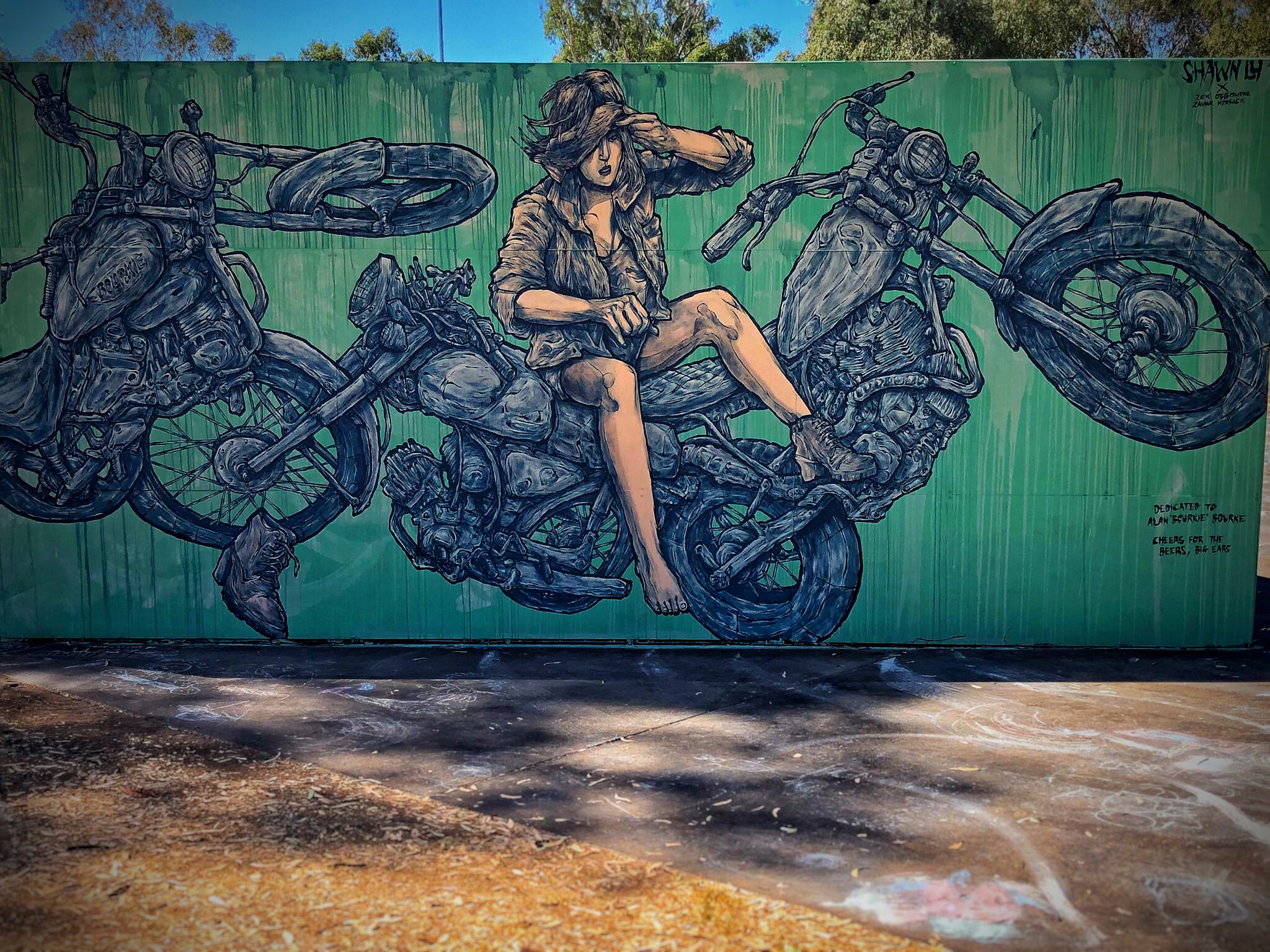 Shawn Lu&mdash;Bourkie's Bikes