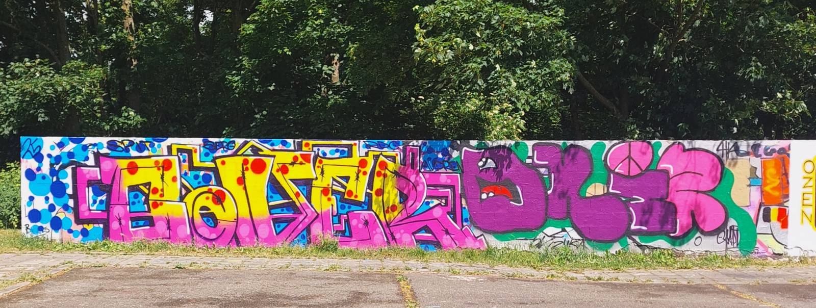 &mdash;Legal Wall de Cointe