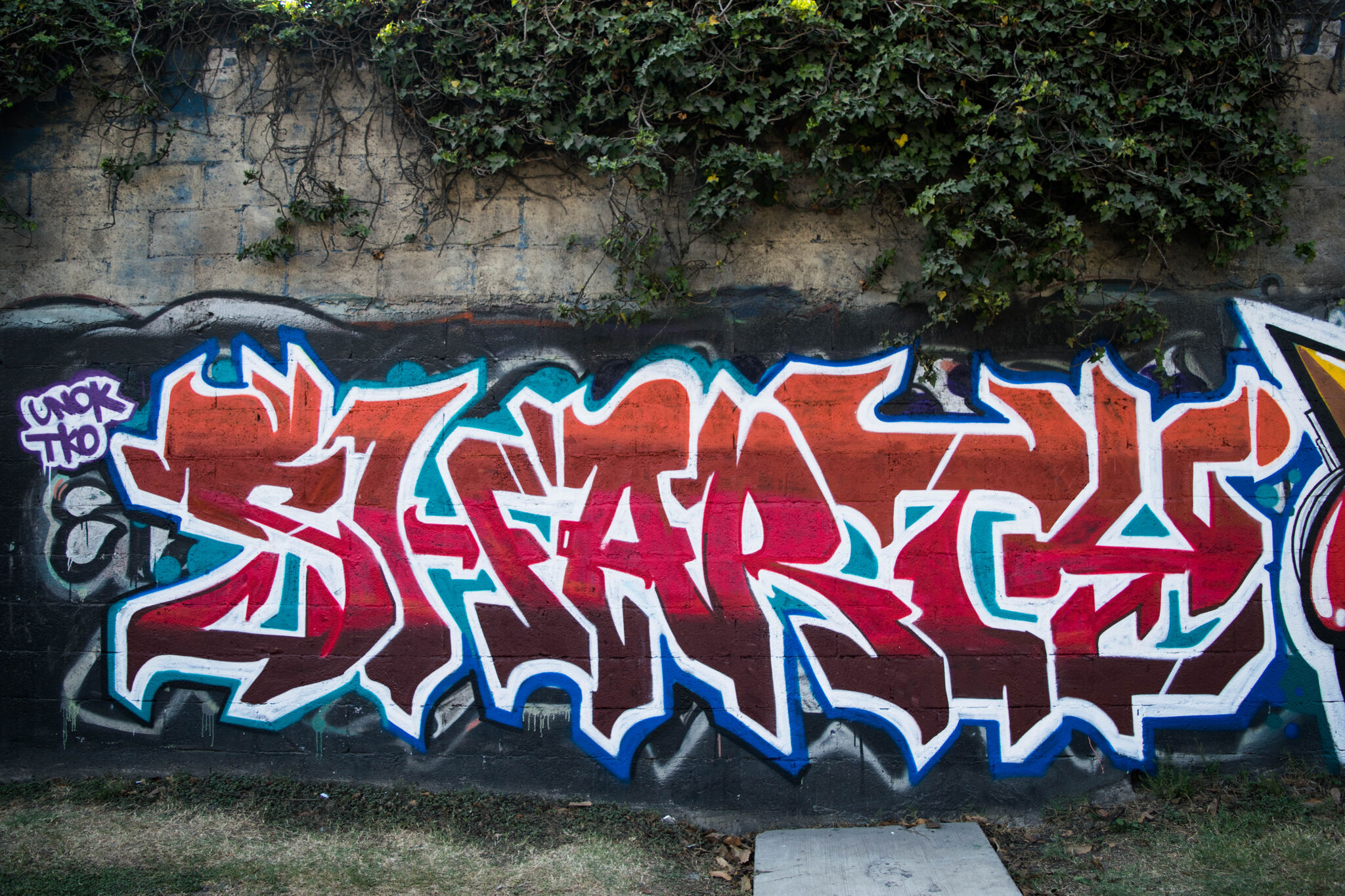 Sharty&mdash;Red