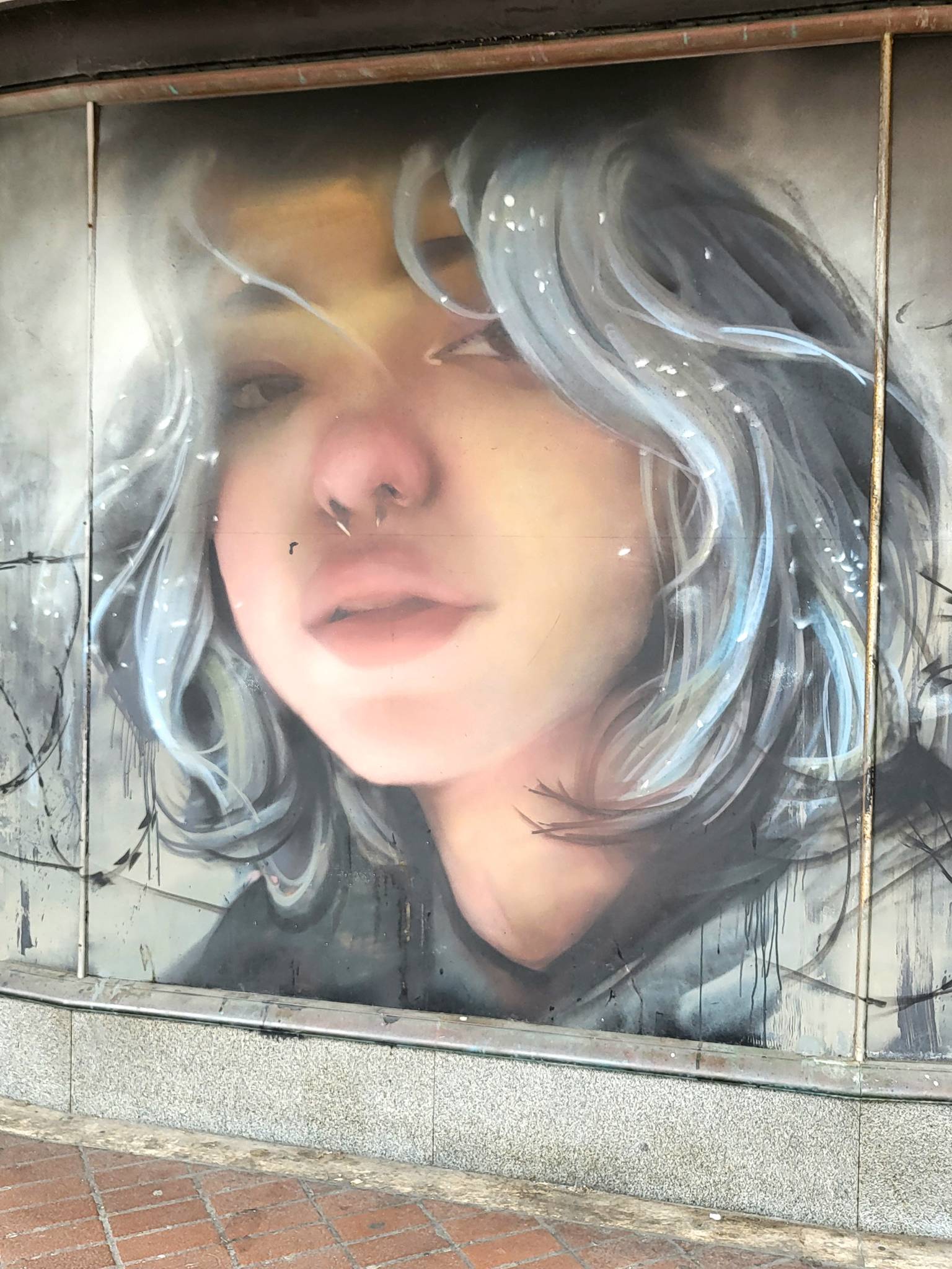 Roo Abrook, farkFK, My Dog Sighs, RoosArt, Mister Samo, Berk MLC, South Soak, Various Artists, Claudia La Bianca, Irony&mdash;Palmerston Road Precinct
