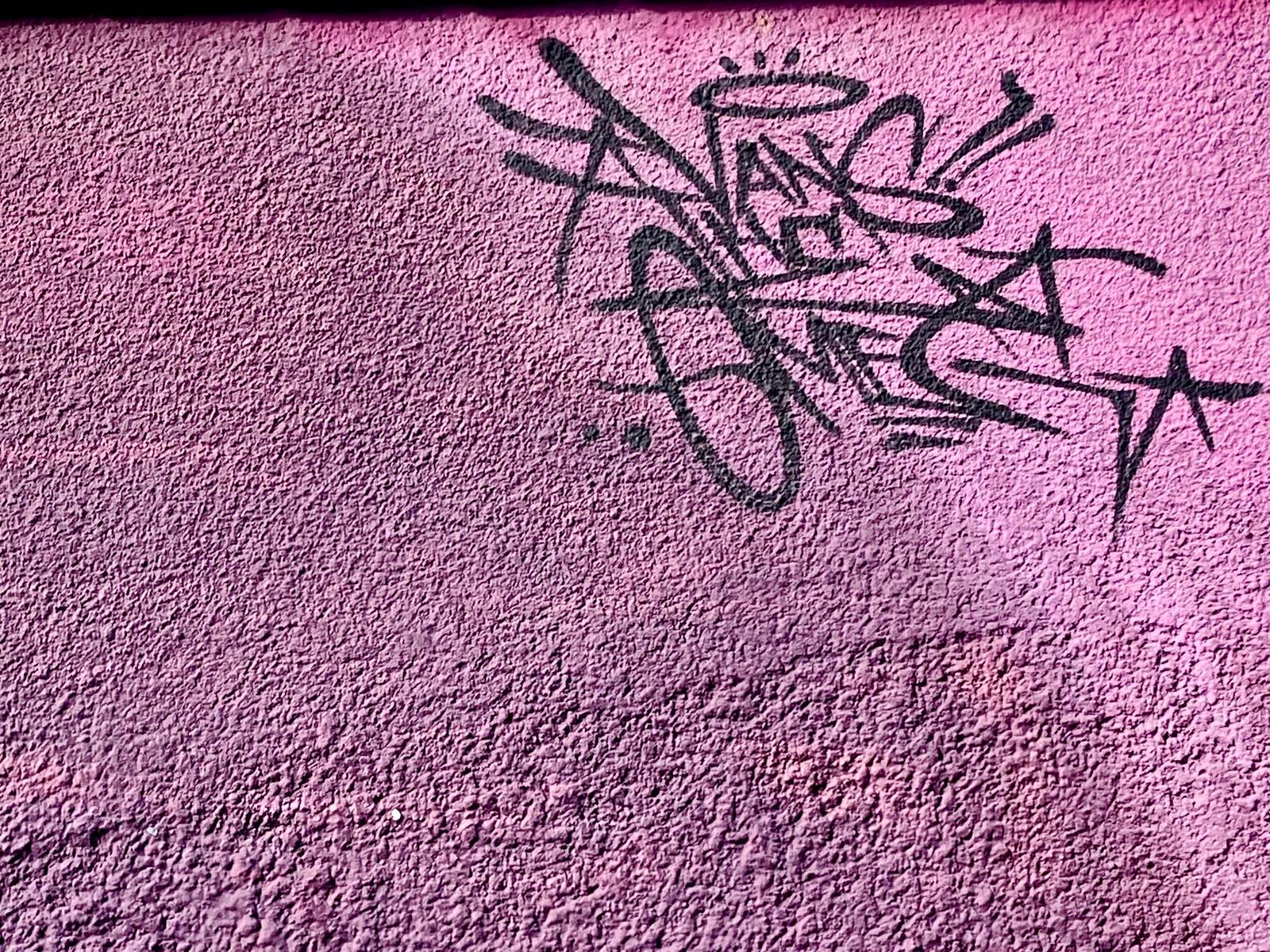 Vans The Omega&mdash;undefined
