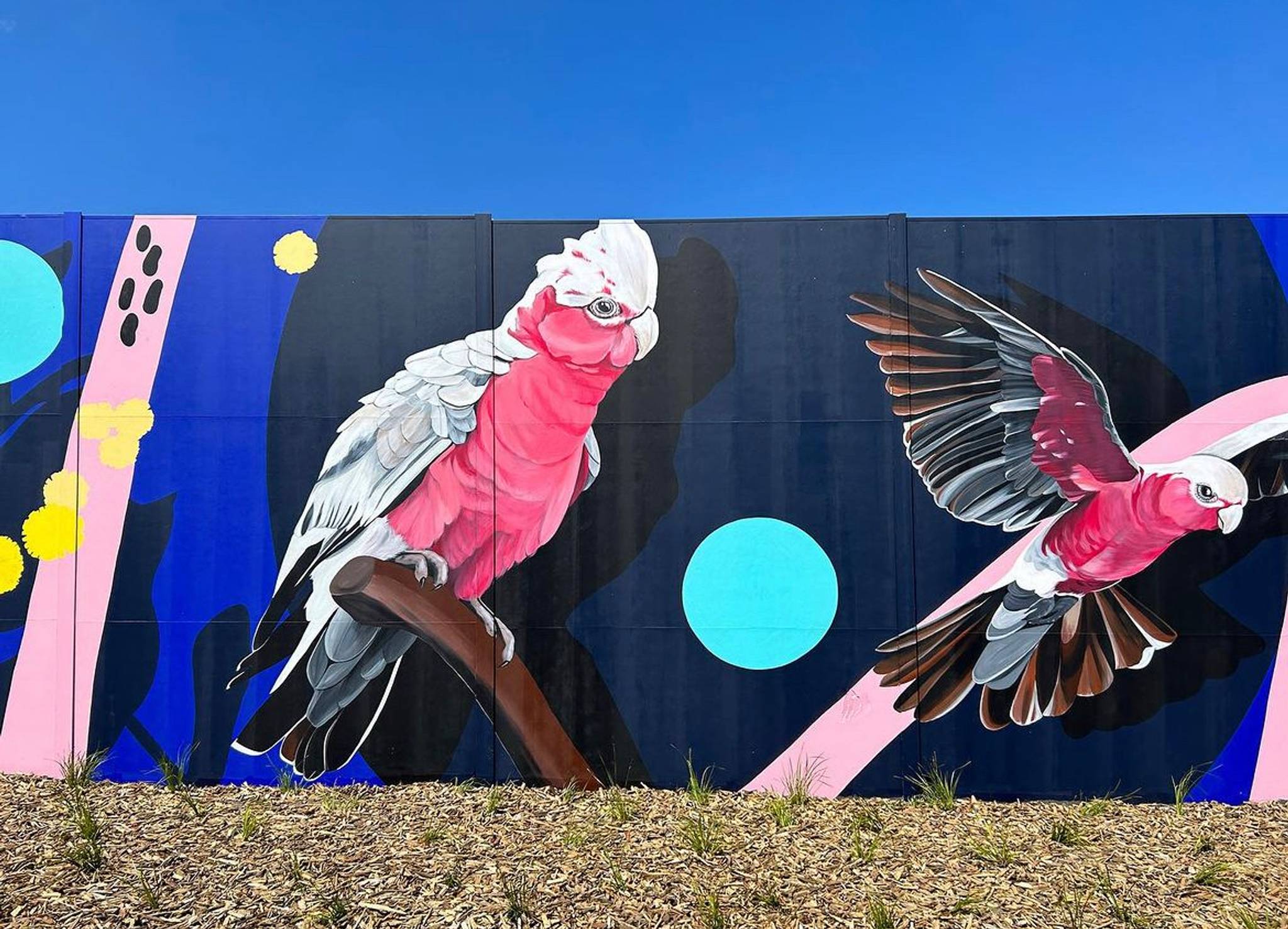 Melanie Caple&mdash;Flight Paths