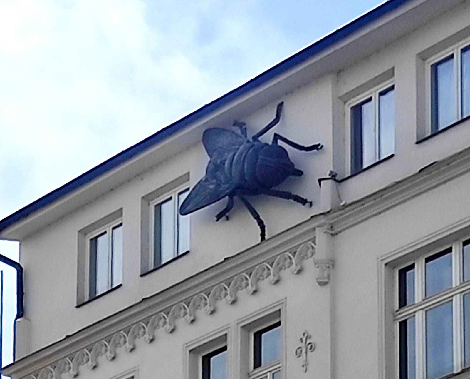 Michal Trpák&mdash;Giant fly named “What is Happiness”