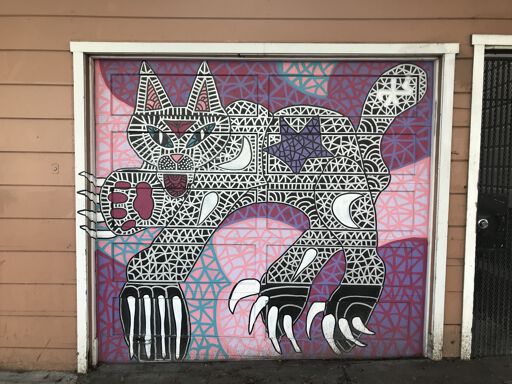 Wild cat