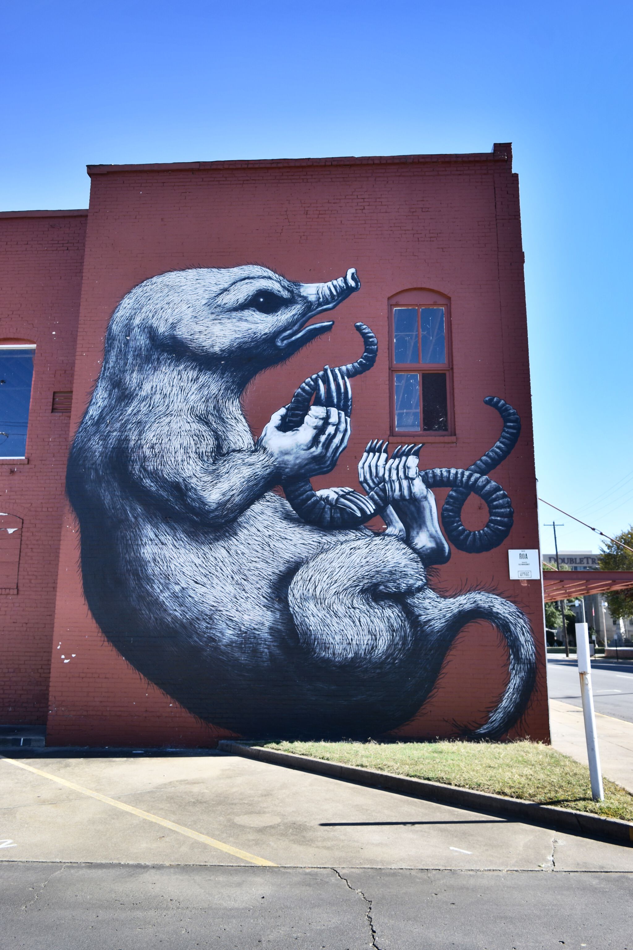 Roa&mdash;Mole