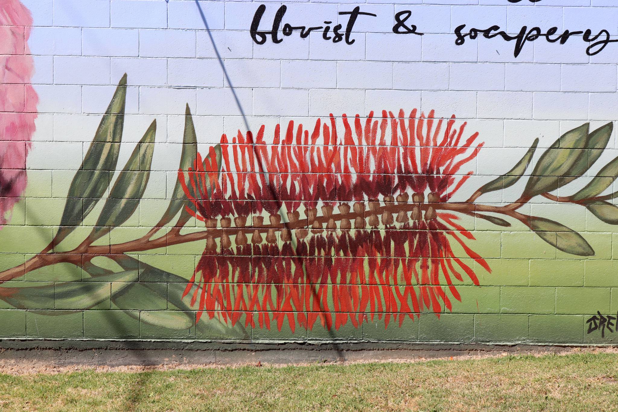 James R Ellis, Jarad Danby&mdash;Wild Willows Florist & Soapery