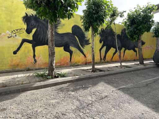 Black stallions