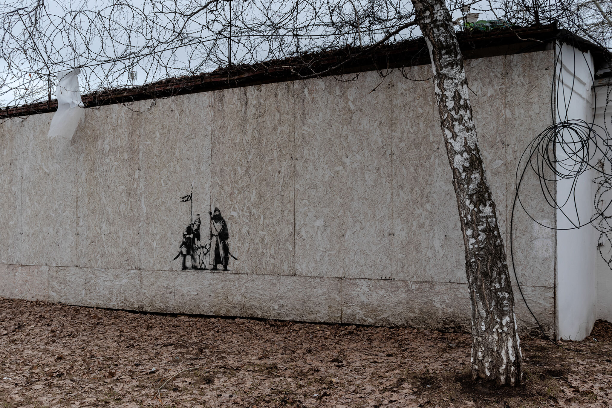 a11c1ear&mdash;Pechenegs and Polovtsy