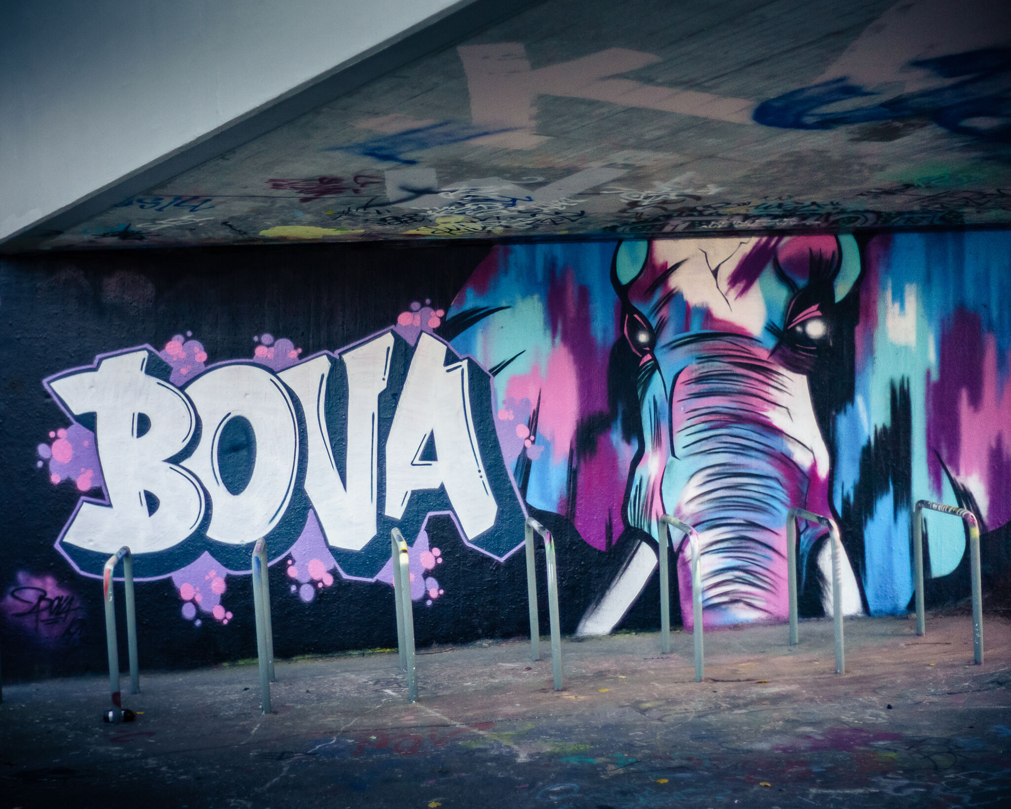 Bova&mdash;Untitled