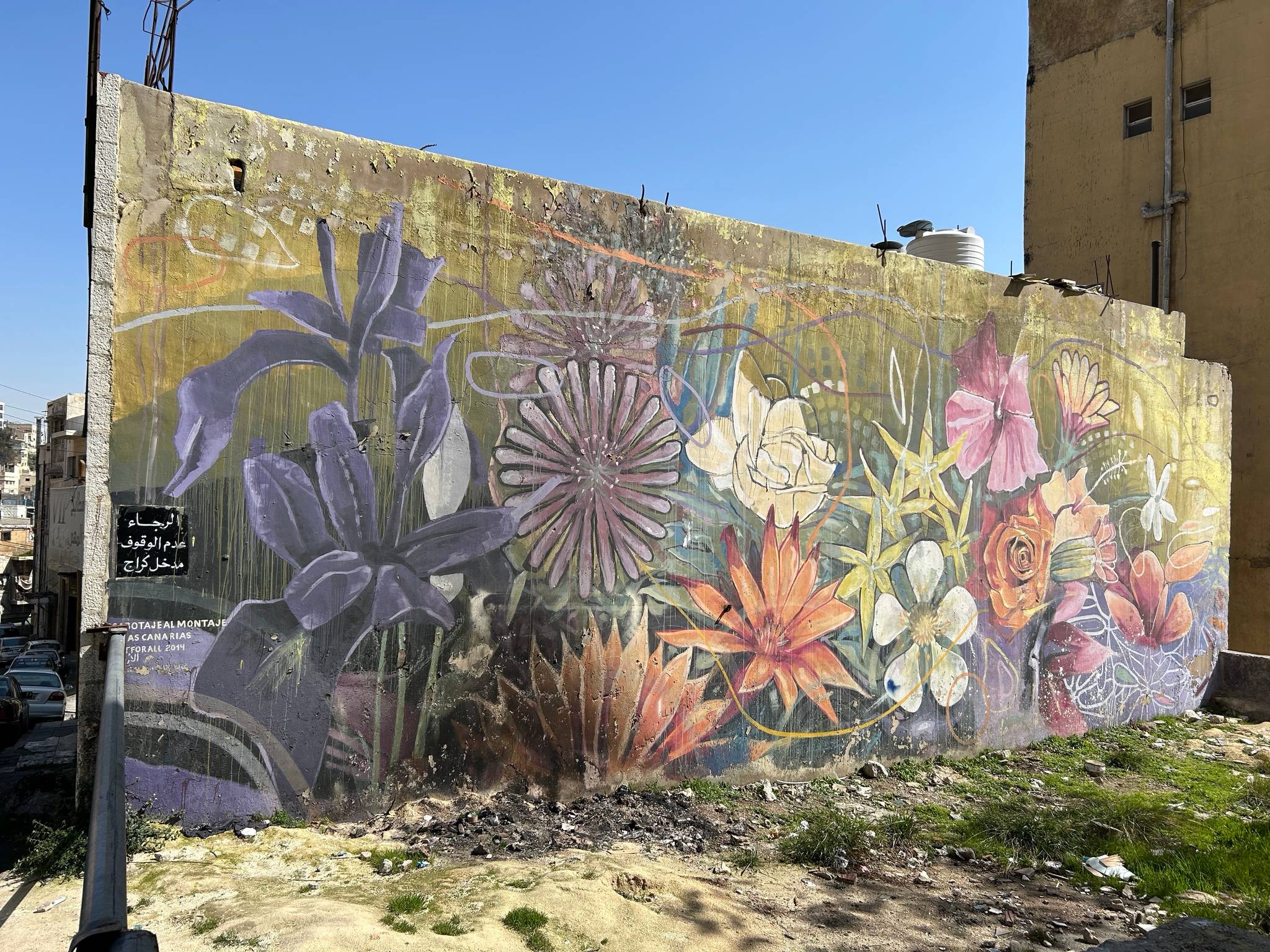 Matias Marta Garcia&mdash;Las Canarias