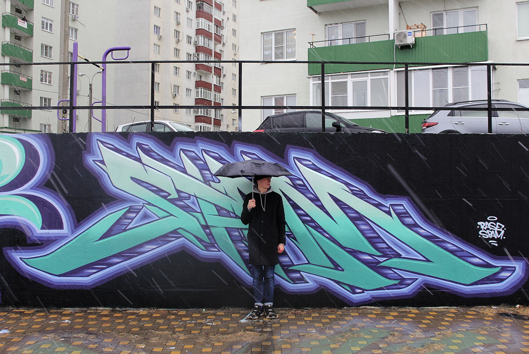 spam&mdash;spam on graffiti park  - kmr