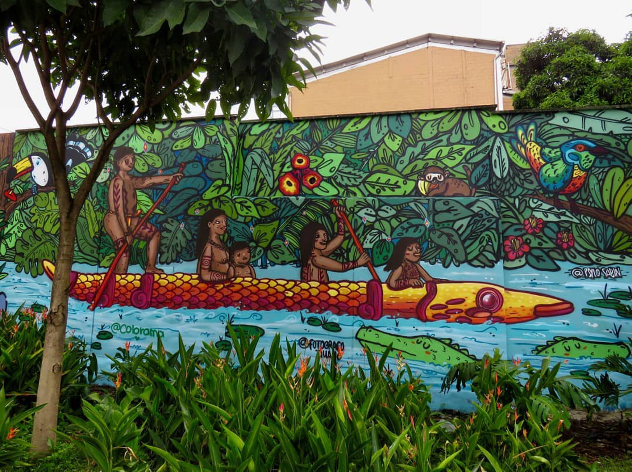 Colorama Colectivo&mdash;Untitled