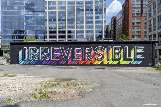 IRREVERSIBLE