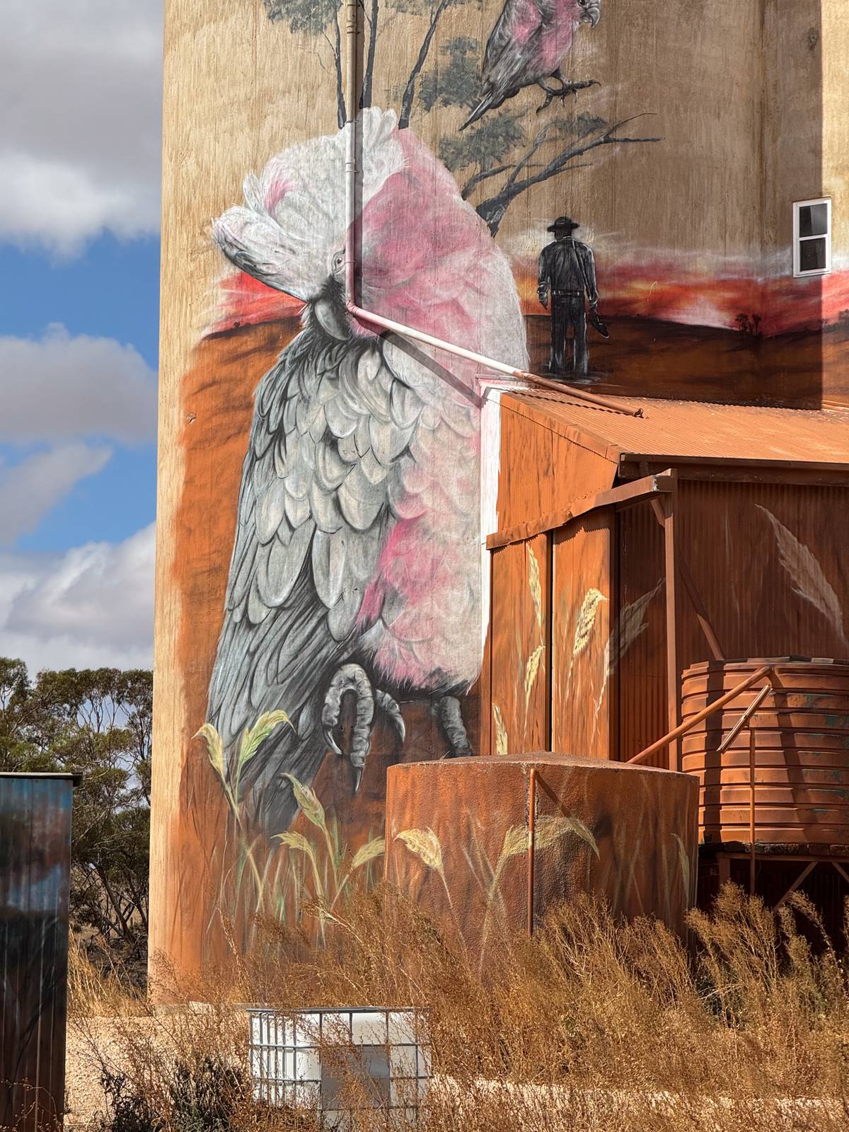 Jarrod Loxton&mdash;Copeville Silo