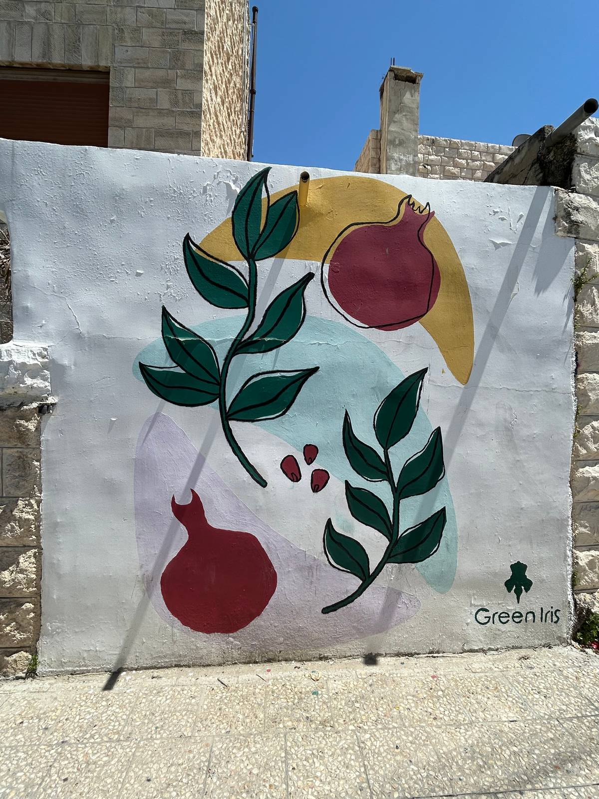 Unknown - Amman&mdash;Green Iris