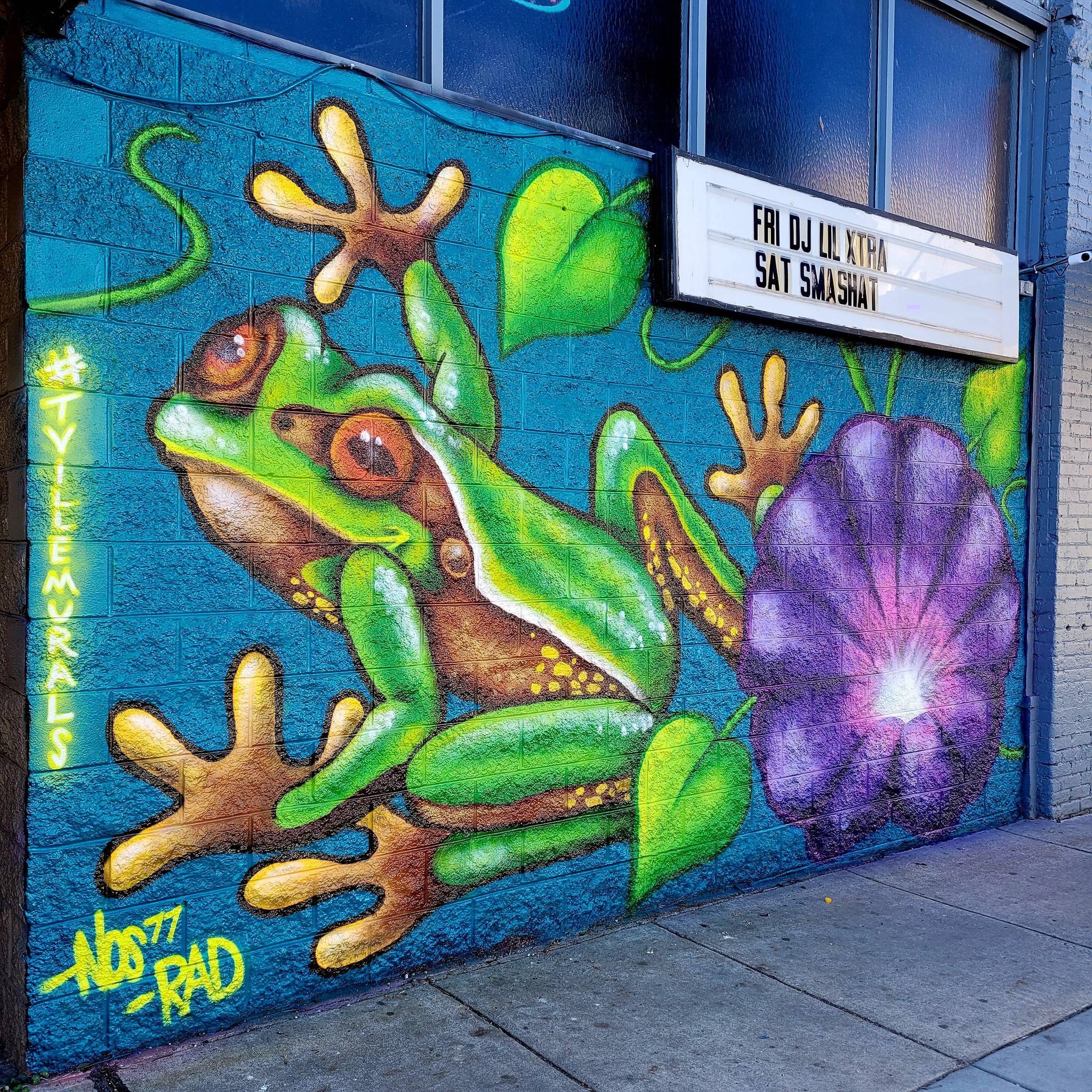 NOS77, RADICALSTATEART&mdash;Pine Barrens Tree Frog