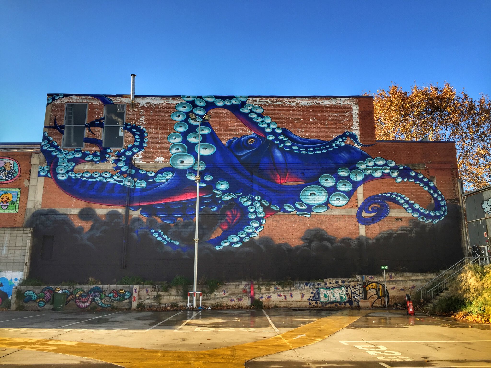 Francesco Pinzon&mdash;Kraken