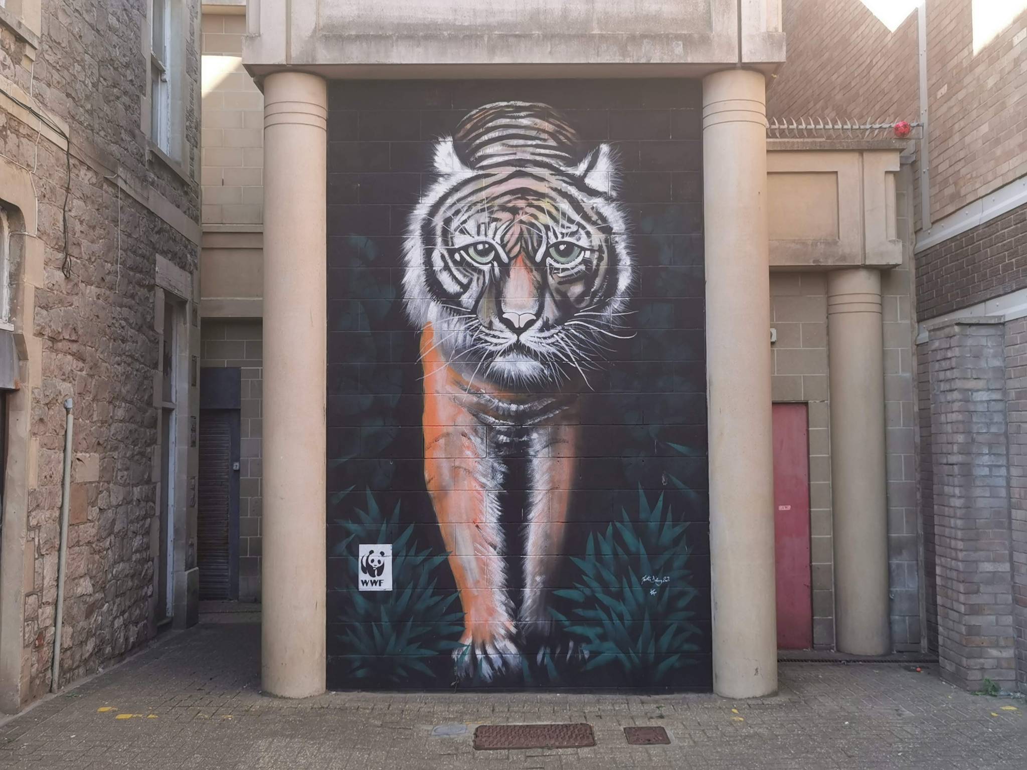 Martin Darcy, Lin Toulcher&mdash;Tiger