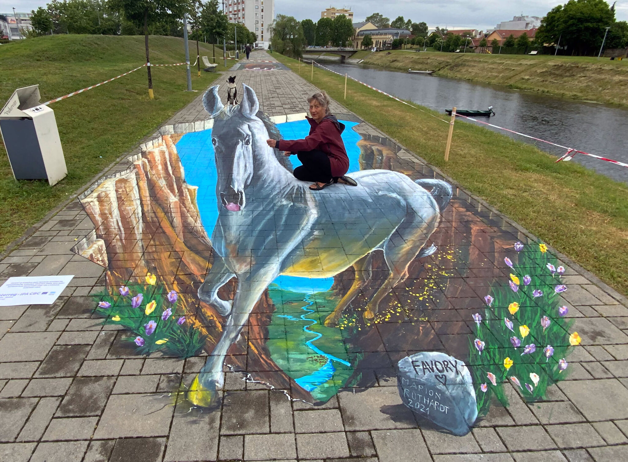 Marion Ruthard&mdash;Lipizzaner