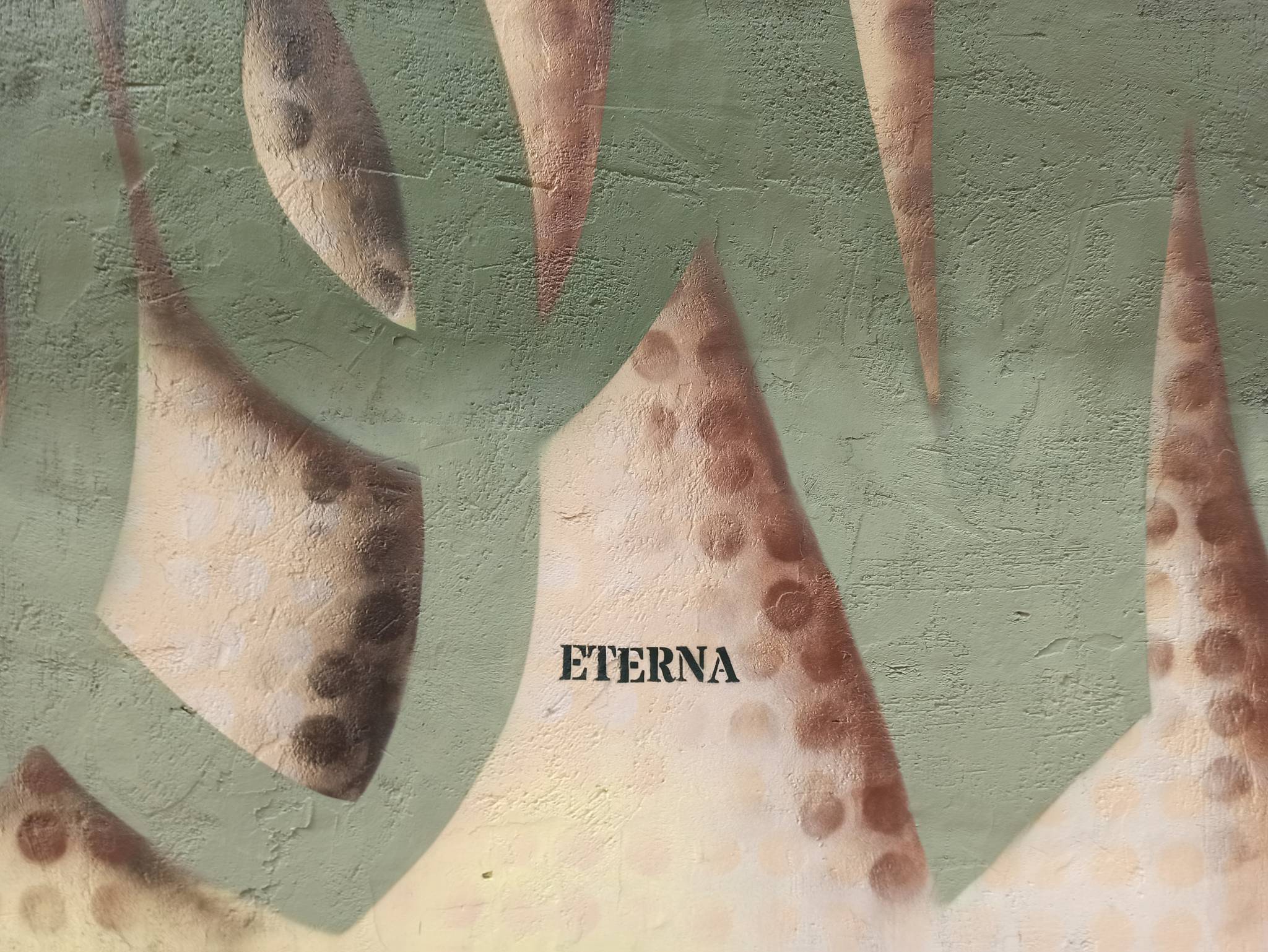 Trébol&mdash;Gata