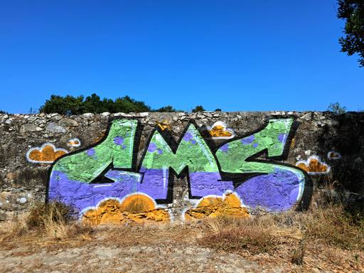 GMS