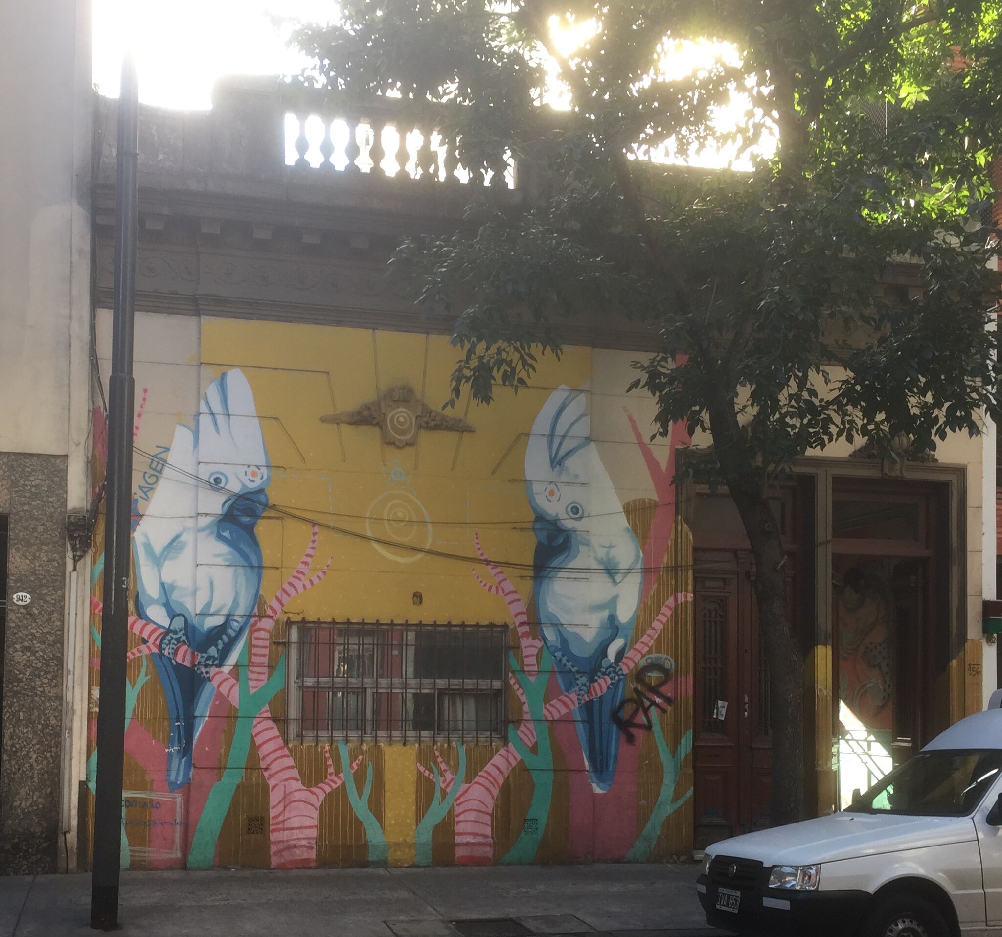 Unknown - Buenos Aires&mdash;cockatoo cockpit