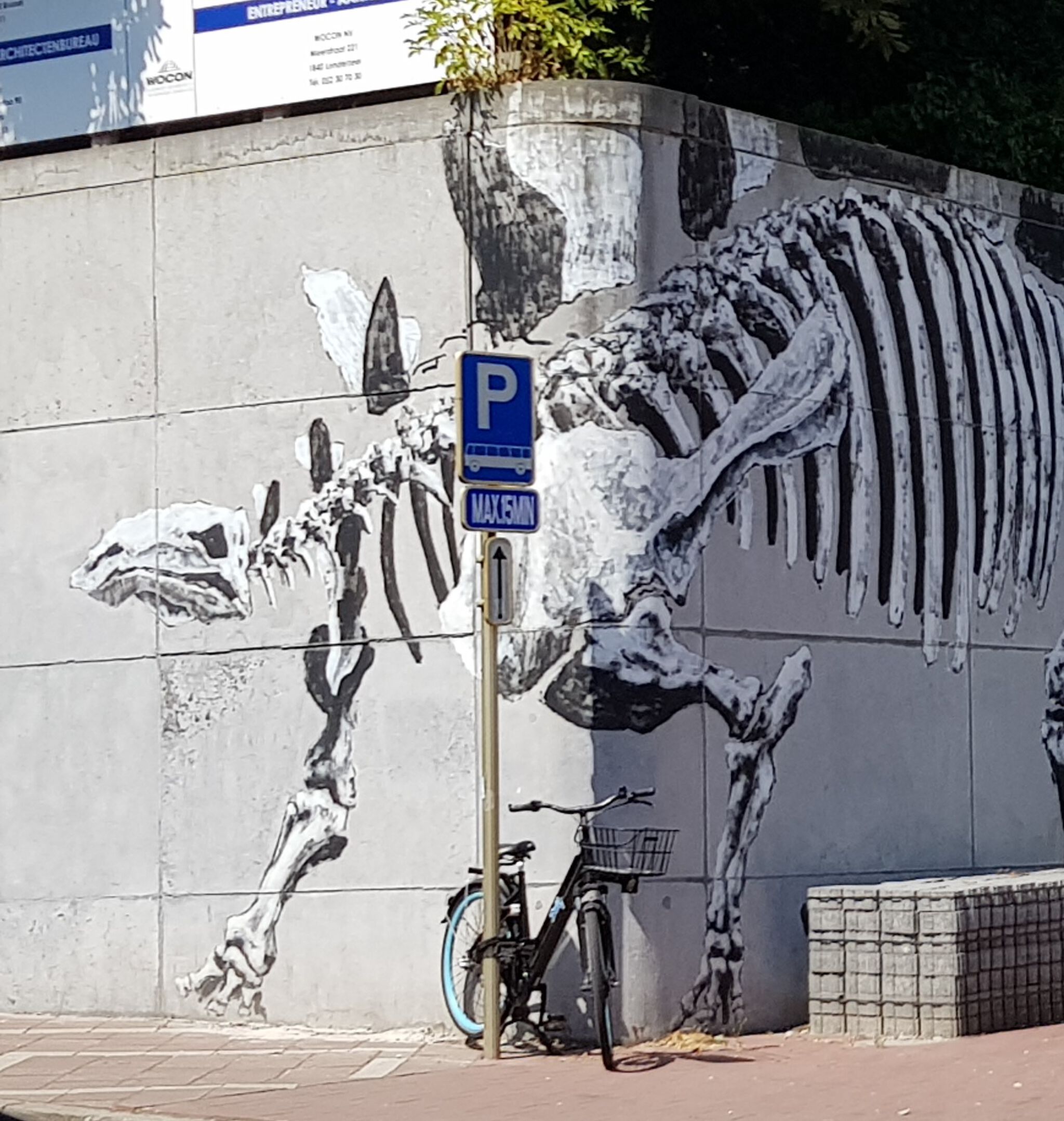 BONOM&mdash;Dinosaurus