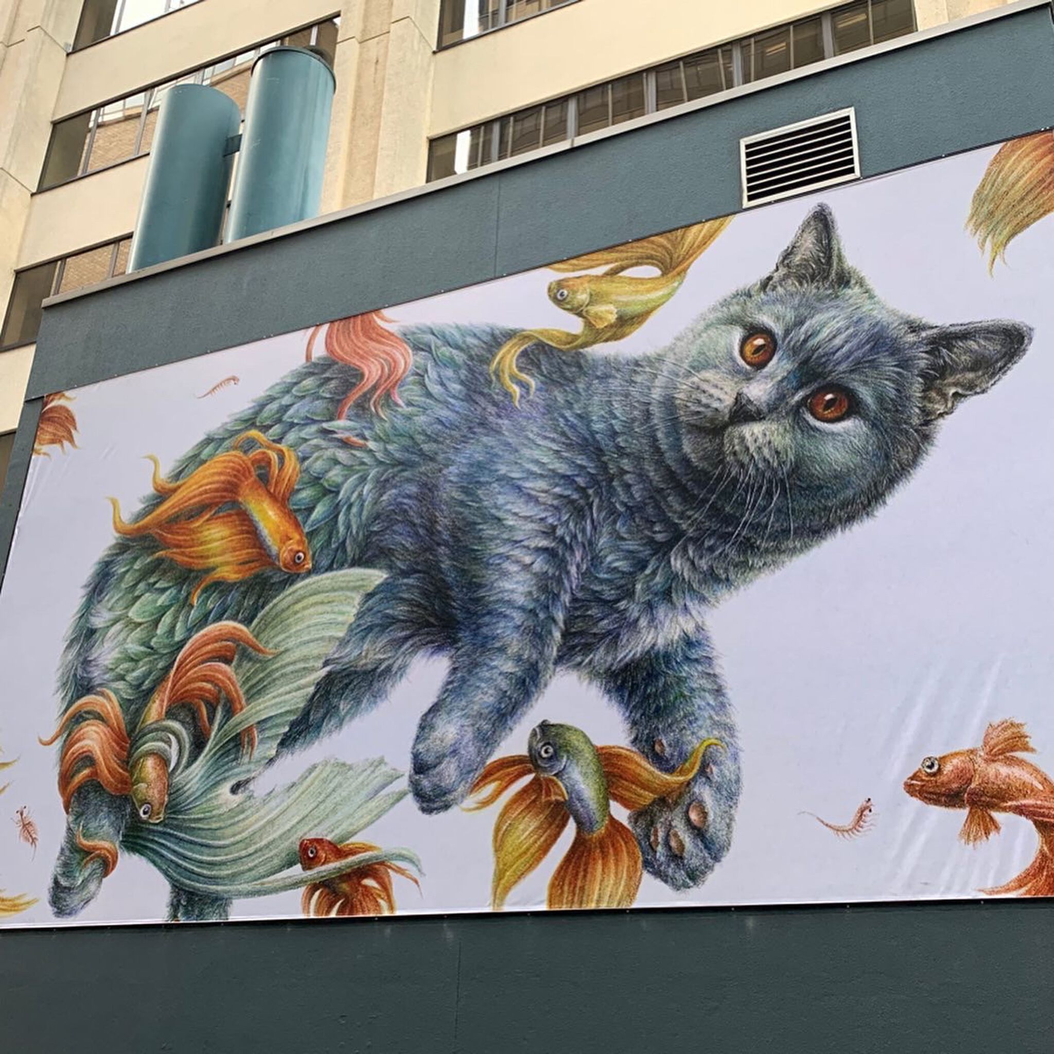 Courtney Brims&mdash;Maximum Kitten