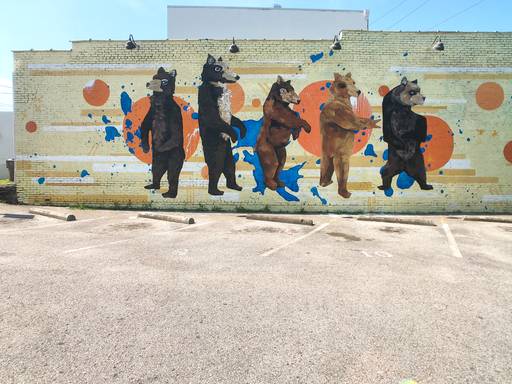 Bears